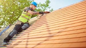 Best Roof Ventilation Installation  in South Boston, VA
